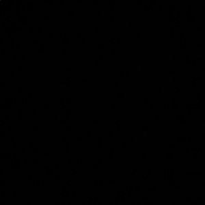 Meet your Posher, Ella